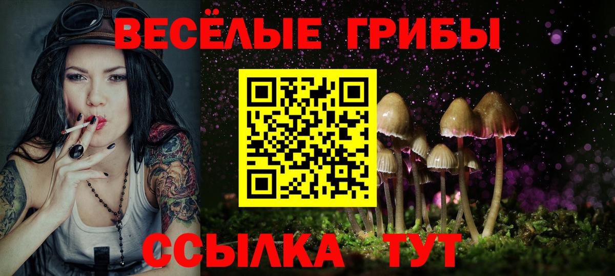 Галлюциногенные грибы мухоморы Вологда