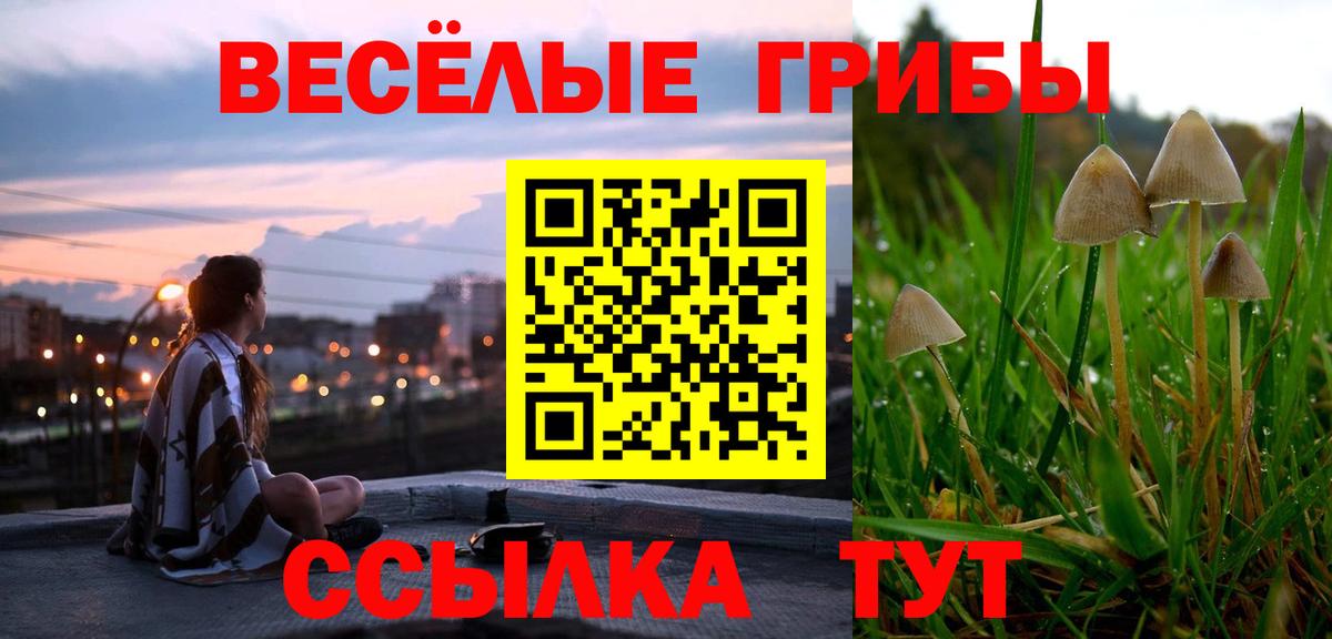 Вологда  как найти закладки  Вход с VPN  Галлюциногенные грибы прущие грибы 